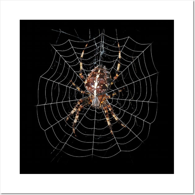 spider Wall Art by Zarifah